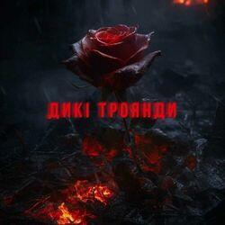 Слушать альбом - Дикі троянди