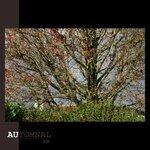 Automnal (2018)