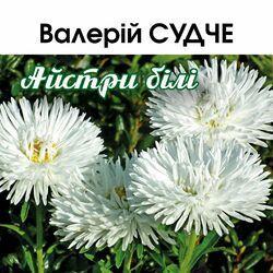 Слушать альбом - Айстри білі