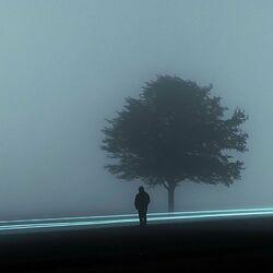 Слушать альбом - The Lonely Tree
