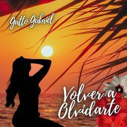 Volver a Olvidarte