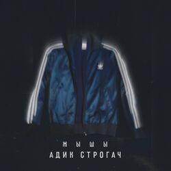 Слушать альбом - Адик строгач