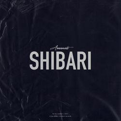 Слушать альбом - Shibari