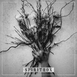 Слушать альбом - Spiritbox