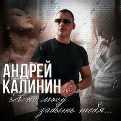 Слушать альбом - Я не могу забыть тебя