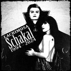 Слушать альбом - Schakal 1994 - 2024