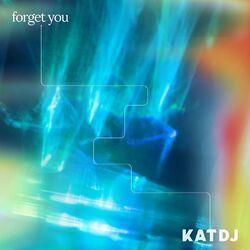 Forget You