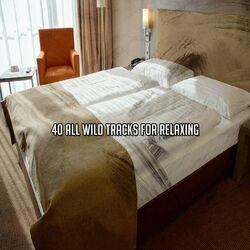 40 All Wild Tracks For Relaxing