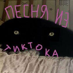 Песня из тик тока