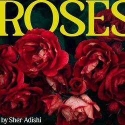 Слушать альбом - Roses