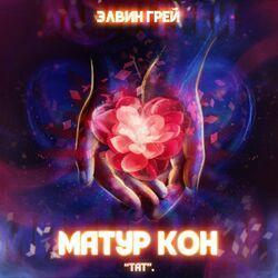 Слушать альбом - Матур кон (Тат)