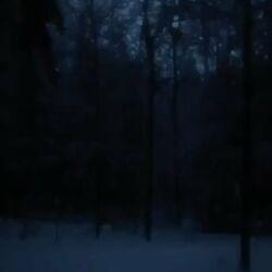 Слушать альбом - dark snowy night