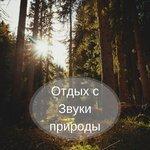Слушать альбом - Отдых со звуками природы (2017)