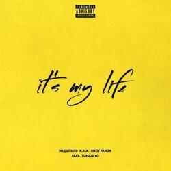 Слушать альбом - It's My Life