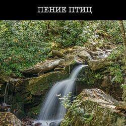 Слушать альбом - Пение Птиц