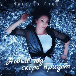 Новый год скоро придет