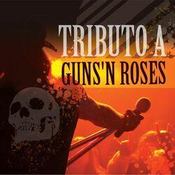 Слушать альбом - Tributo a Guns'n Roses