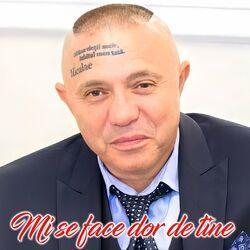 Слушать альбом - Mi se face dor de tine