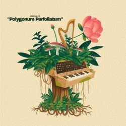 Слушать альбом - Polygonum Perfoliatum