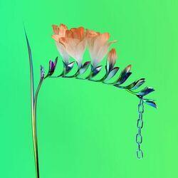 Слушать альбом - Skin Companion EP I