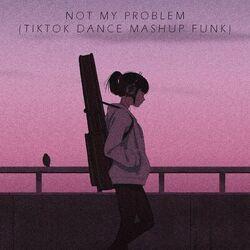 Слушать альбом - NOT MY PROBLEM (TIKTOK DANCE MASHUP FUNK)