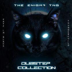 Слушать альбом - Katz in Black / Thunderchild (Dubstep Collection)