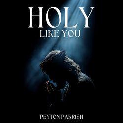 Слушать альбом - Holy Like You