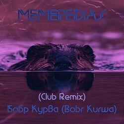 Слушать альбом - Бобр Курва (Club Remix) (Bobr Kurwa)