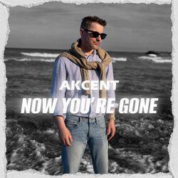 Слушать альбом - Now You're Gone