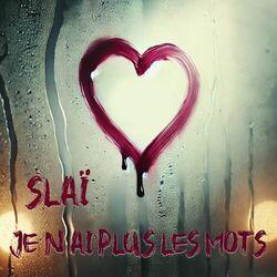 Je n'ai plus les mots