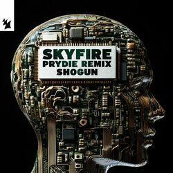 Слушать альбом - Skyfire (PRYDIE Remix)