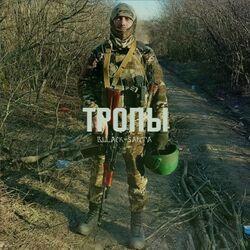 Тропы