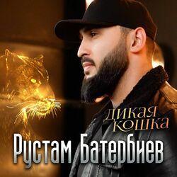 Слушать альбом - Дикая кошка