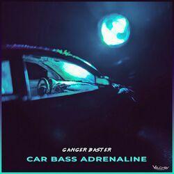 Слушать альбом - Car Bass Adrenaline