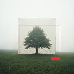 Сложены пальцы
