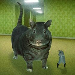 Слушать альбом - OIIAOIIA CAT x RAT DANCE (Chess Type Beat)