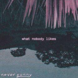 what nobody likes