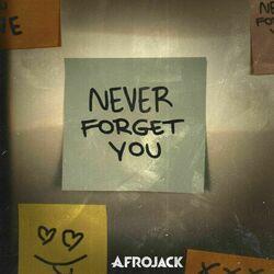Слушать альбом - Never Forget You