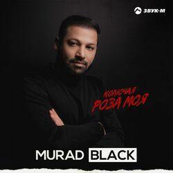 Слушать альбом - Колючая роза моя