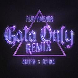 Слушать альбом - Gata Only (Remix)