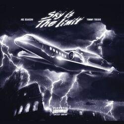 Слушать альбом - SKY IS THE LIMIT