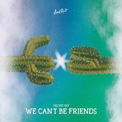 We Can't Be Friends