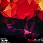 Слушать альбом - Trippi (2017)