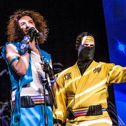Ninja Sex Party