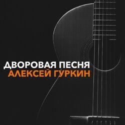 Алексей Гуркин