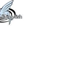 Flying Fish