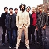 Counting Crows