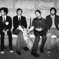 Rogue Wave