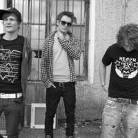 Killerpilze