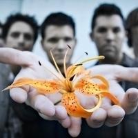 Manic Bloom